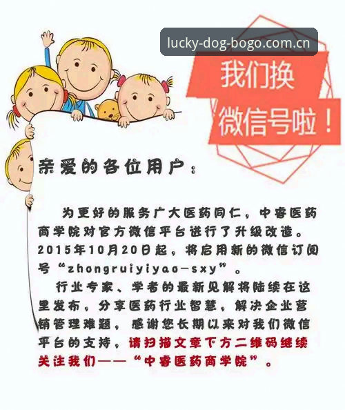 博狗体育平台实战详解：从下载入口到手机版操作全攻略