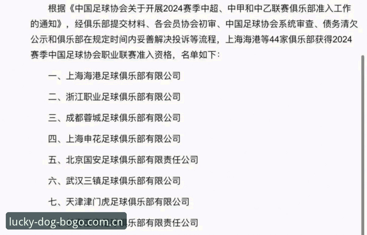 博狗APP官方版最新版 资深用户分享:从足协第三批禁足名单看中国足球的深度清洗实战经验